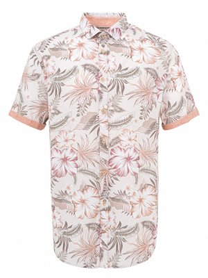 Colours & Sons1_9224-341-703=1714470933