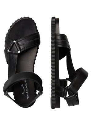 VOILE BLANCHE wom-FRANCIS ZIG 503312-CALF BLACK_01